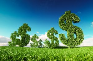 dollar signs in green on grass
